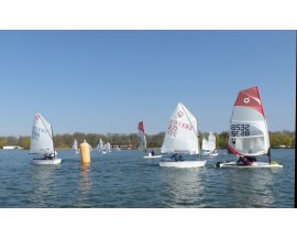 2019 03 31 - CVSQ - OPTI - OBIC