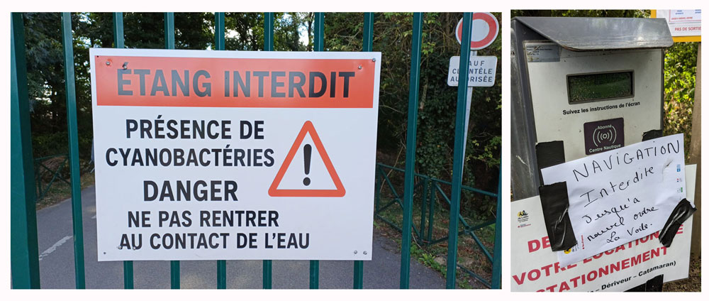 20250823-Cyanobact%C3%A9ries 20250823-Cyanobact%C3%A9ries